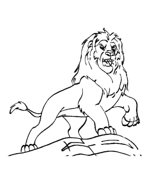 600x734 Mufasa From The Lion King Coloring Page Color Luna
