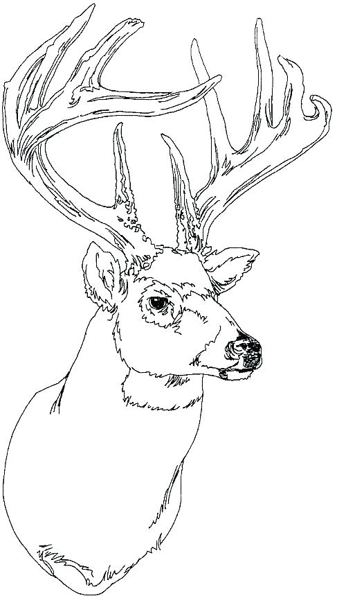 500x860 Deer Coloring Pages Best Of Hunting Coloring Pages Images Deer