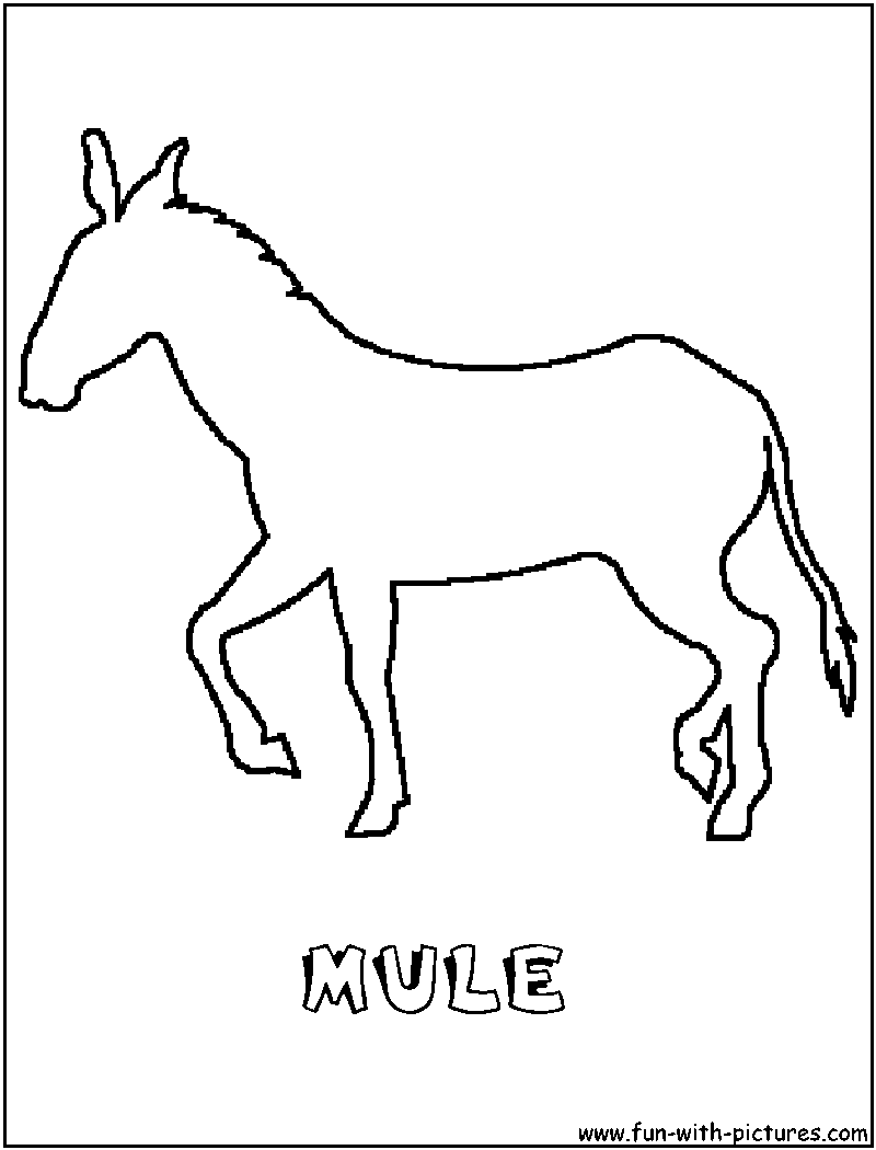 800x1050 Mule Coloring Page Of Outline A For The Love Of Horse