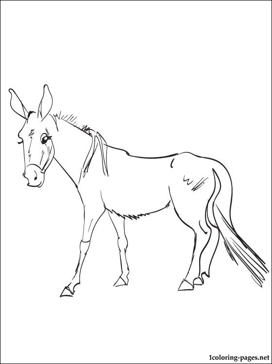 560x750 Mule Coloring Page Coloring Pages