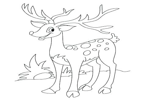 476x333 New Deer Hunting Coloring Pages For My Deer Coloring Page Deer New