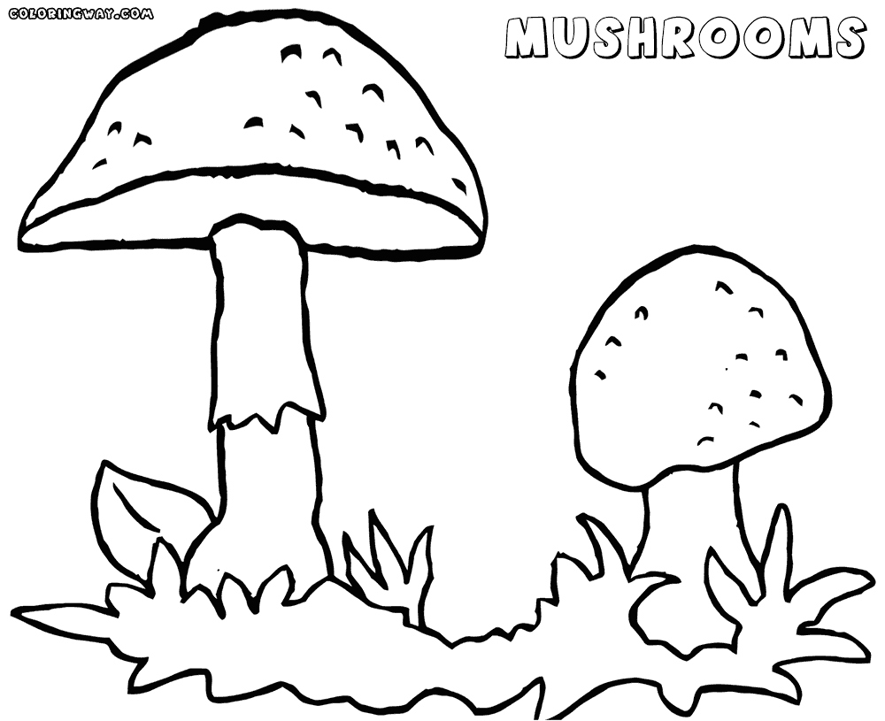 1000x815 Mushroom Coloring Pages Awesome Mushrooms Coloring Pages Download