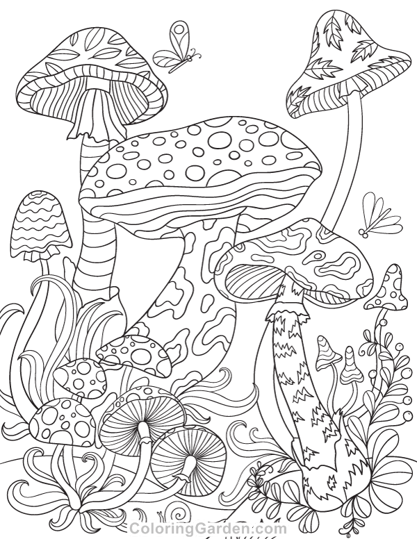 600x776 Mushrooms Adult Coloring Page