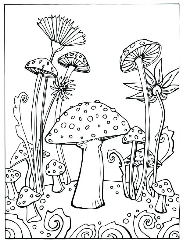600x787 Coloring Pages Trees Plants And Flowers Mushroom Coloring Sheet