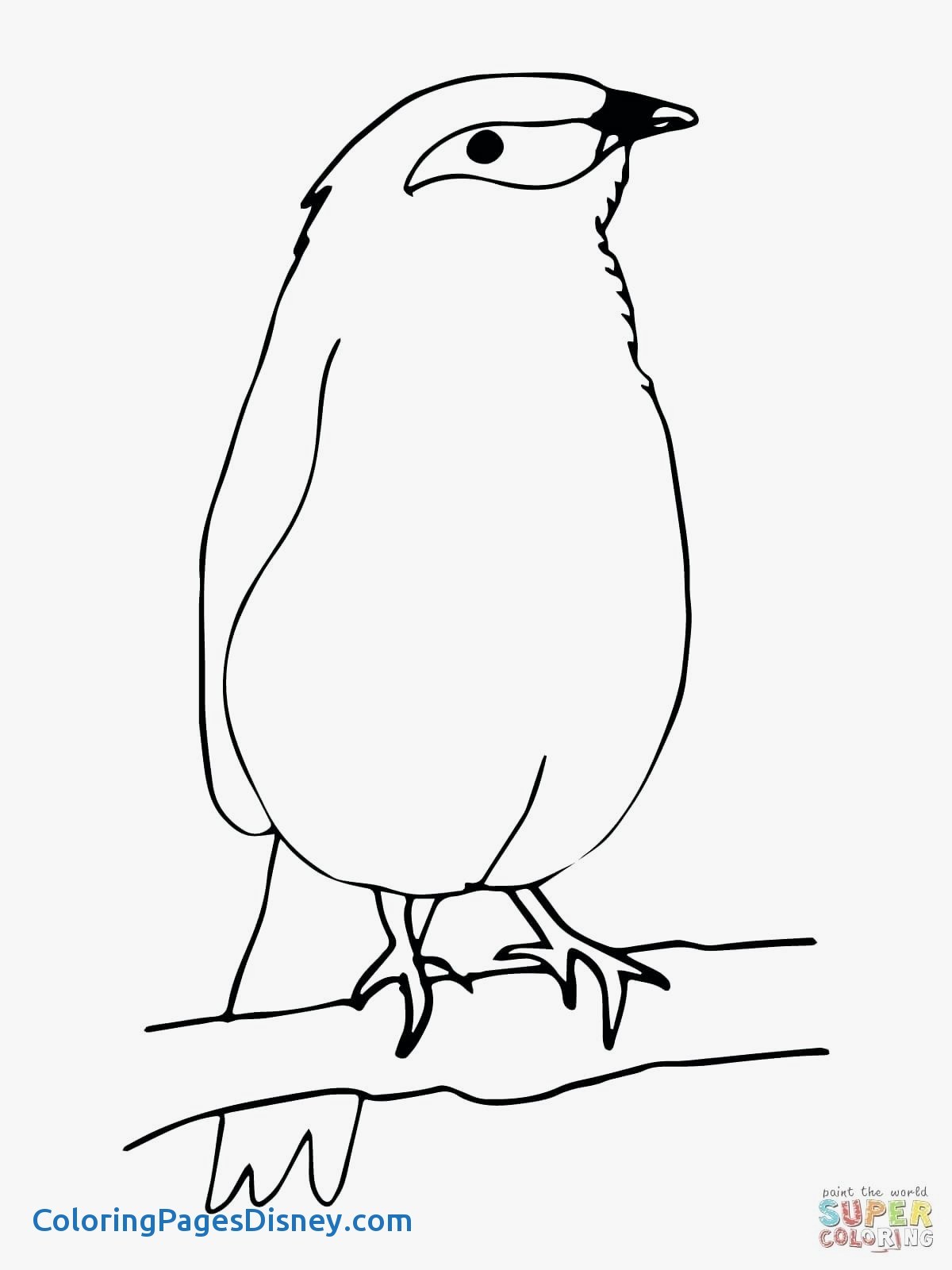 1200x1600 Musk Ox Coloring Pages Luxury Mynah Coloring Pages Collection