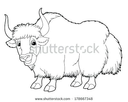 450x358 Musk Ox Coloring Pages Yak Animal Coloring Pages Color Sheets