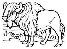 235x174 Musk Ox Mother And Baby Coloring Page Alaska Education
