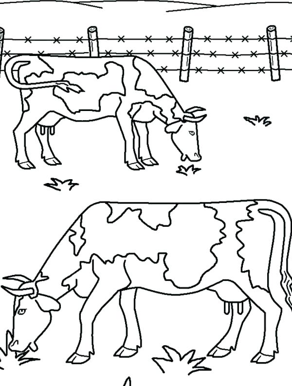 600x793 Ox Coloring Page Epic Ox Coloring Page Image Farm Animal Two