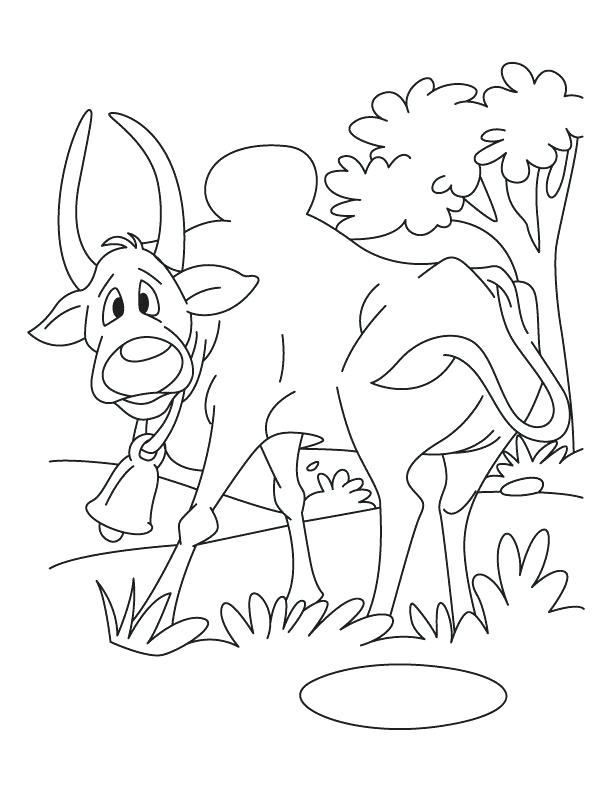 612x792 Ox Coloring Page Excellent Ich Coloring Page Fee Pages To Print O