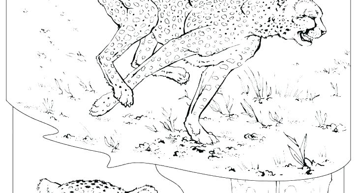 728x393 Ox Coloring Page Musk Ox Coloring Pages Animal Habitat Coloring