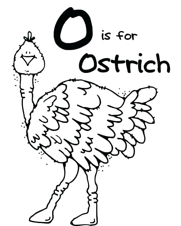 600x750 Ox Coloring Page S Fr Clr Musk Ox Coloring Page