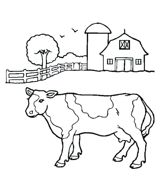 600x734 Ox Coloring Page