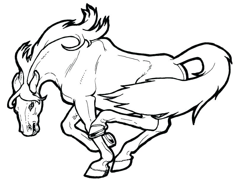 800x615 Mustang Horse Coloring Pages Carousel Horse Coloring Pages Free