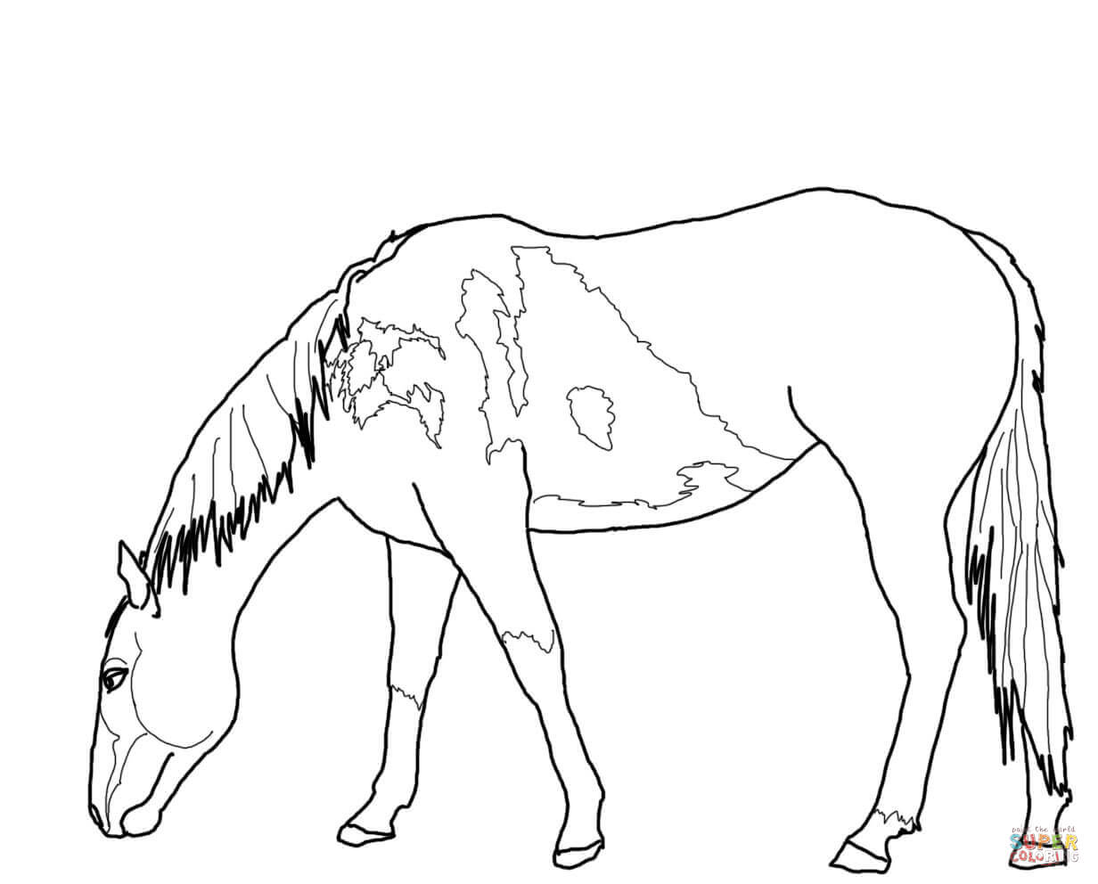 1232x992 Beautiful Mustang Horse Coloring Page Free Printable Coloring