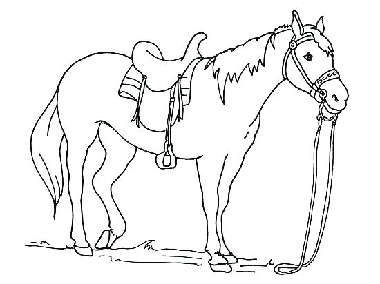 550x412 Free Printable Carousel Horse Coloring Pages Mustang Adult Book