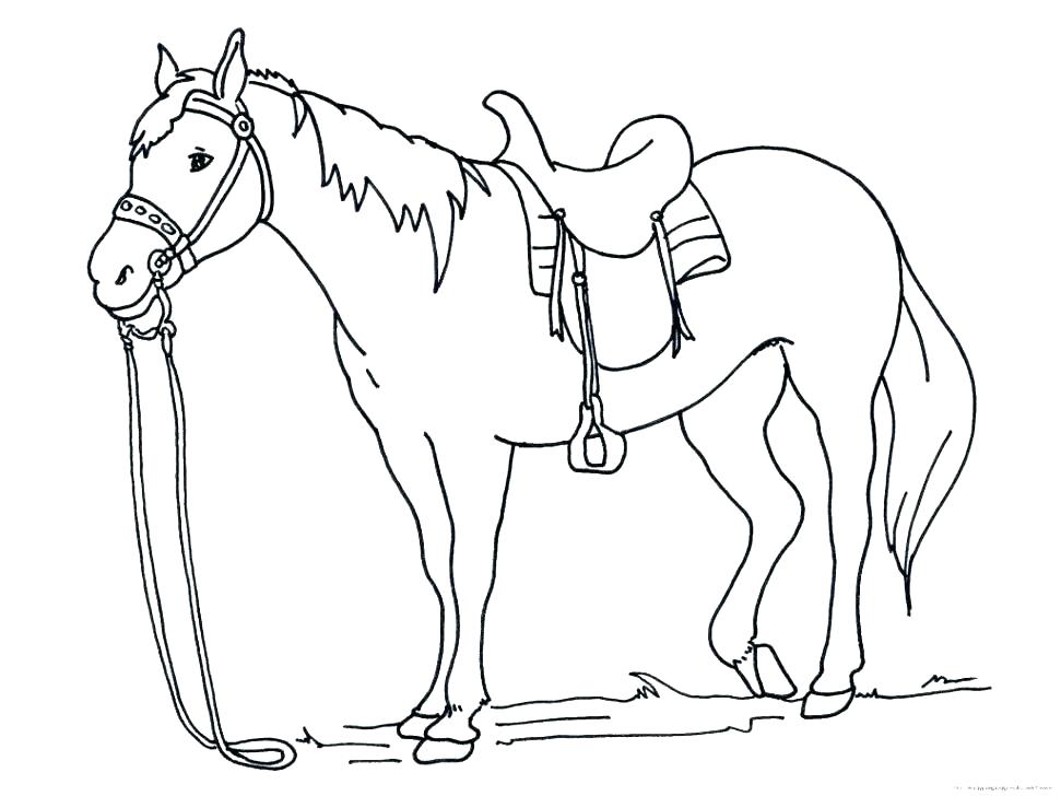 971x728 Horse Coloring Pages Printable As Well As Mustang Horse Coloring
