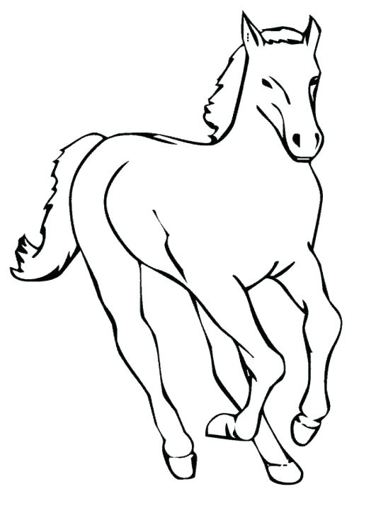 548x731 Horse Coloring Pictures For Adults Kids Coloring Mustang Horse