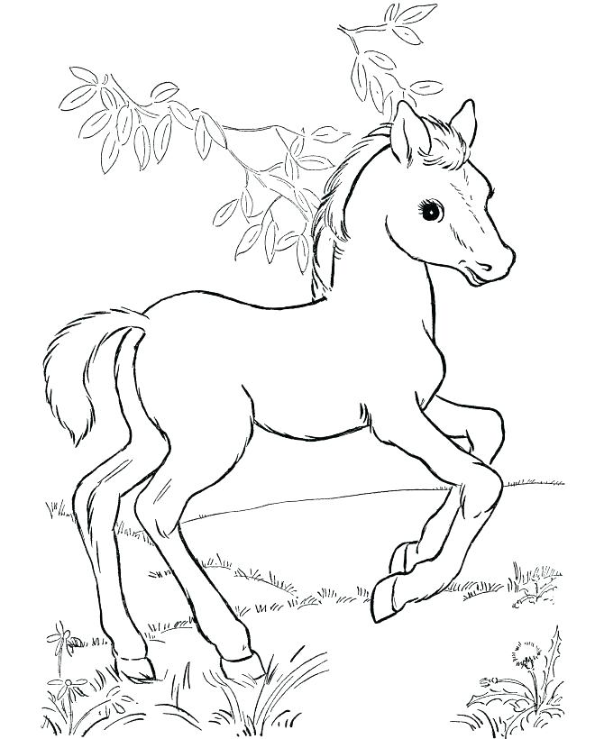 670x820 Mustang Horse Coloring Pages Mustang Horse Coloring Pages Best