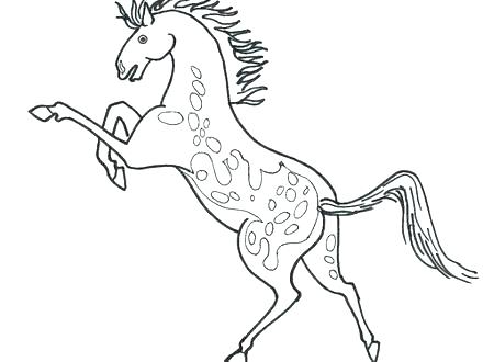 440x330 Beautiful Horse Coloring Pages