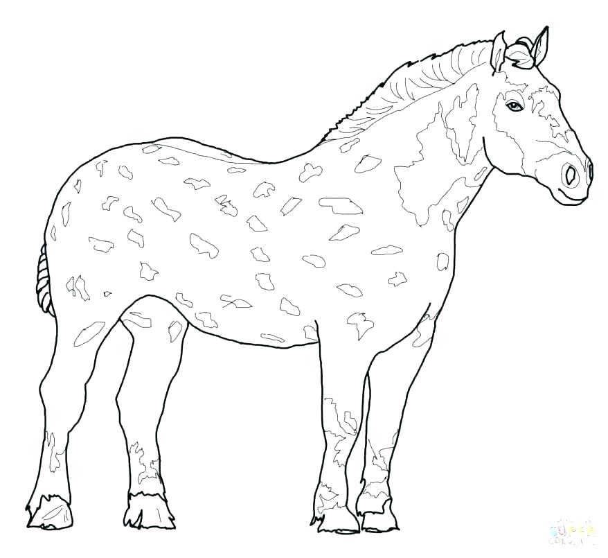 878x805 Coloring Pages Of Horses Printable In Addition To Coloring Pages