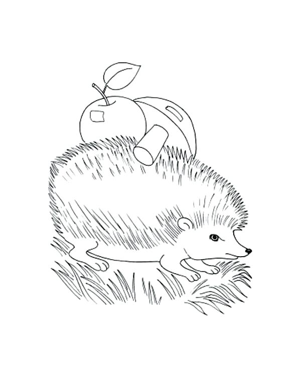 600x778 Body Coloring Pages People Eyes Face And Body Coloring Pages My