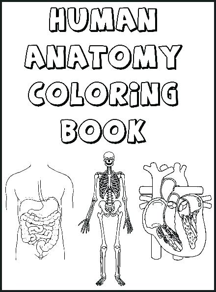 440x594 Human Body Coloring Pages Free People Eyes Face And My Book
