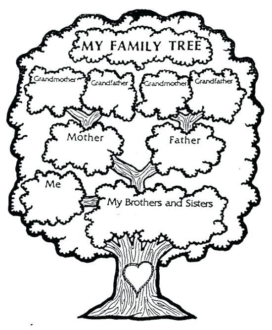 550x666 Family Tree Coloring Page Free Pictures Of Family Tree Coloring