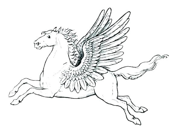600x448 Pegasus Coloring Pages Coloring Page Minimalist Coloring Page Fee