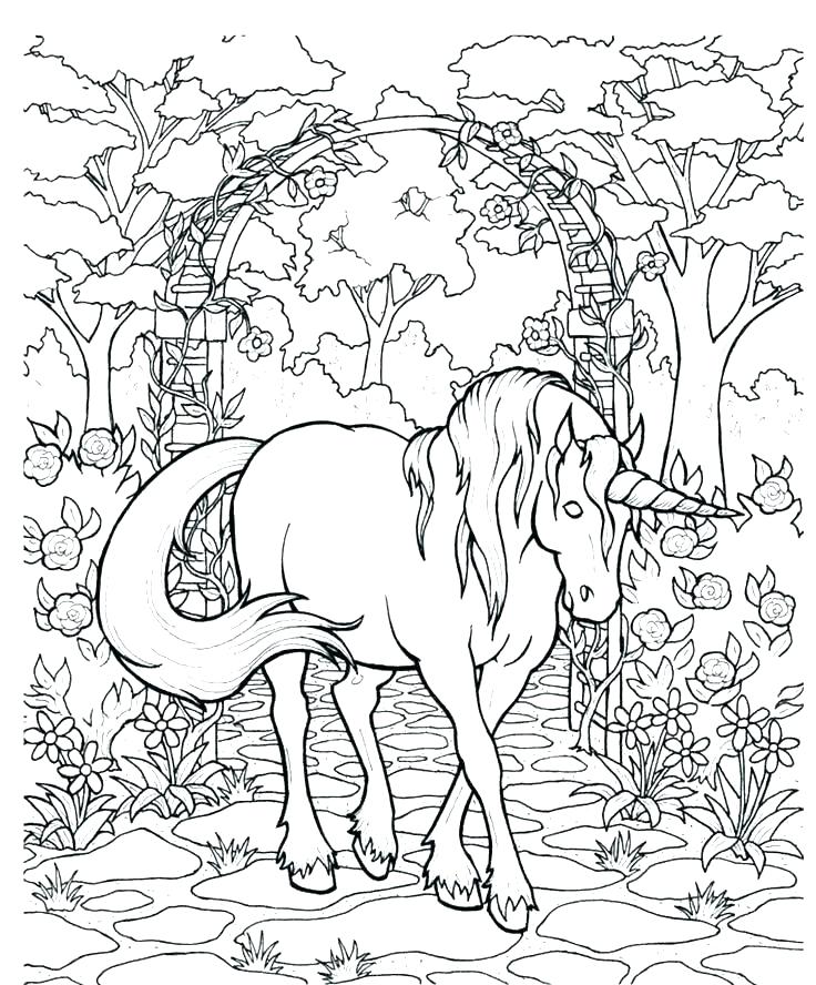 736x888 Pegasus Coloring Pages Coloring Pages Galaxy Coloring Pages Barbie