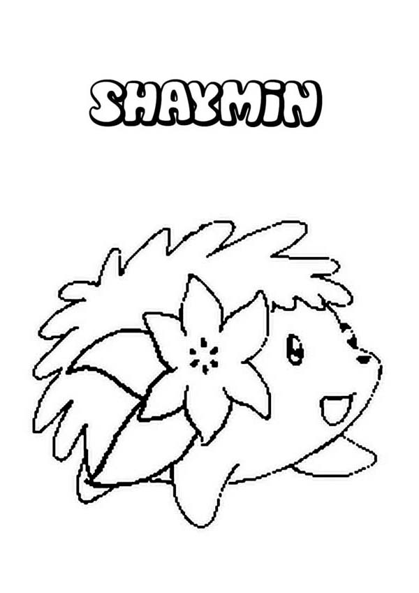 600x849 Legendary Pokemon Coloring Pages