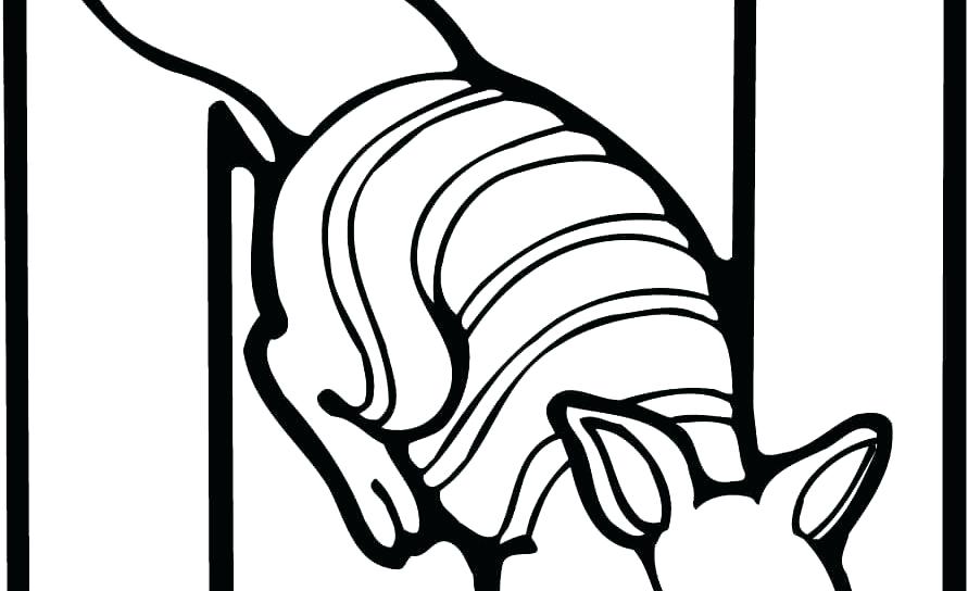 891x544 N Coloring Pages