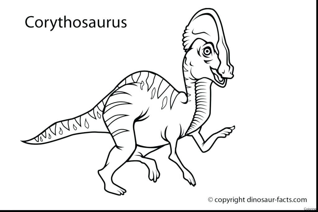 1024x683 Name Coloring Pages To Print Out Fuhrer Von