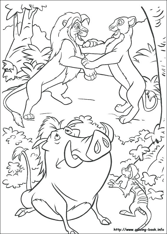 567x794 Coloring Picture Of A Lion The Lion King Coloring Pages
