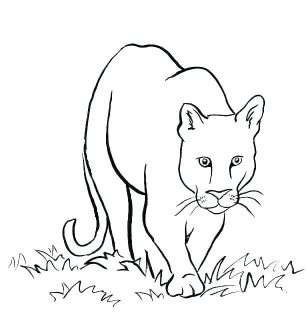 612x630 Mountains Coloring Page Coloring Pages Mountains Coloring Pages