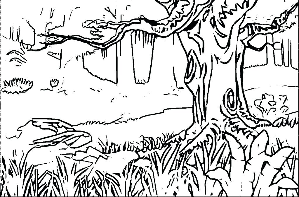 1024x673 Rainforest Coloring Pages Best Coloring Pages Photo Rainforest
