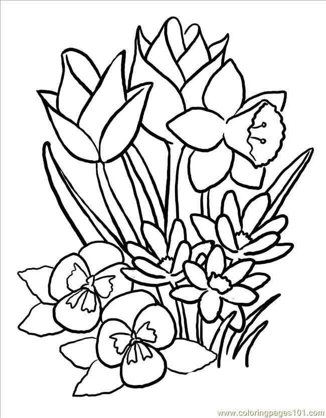 650x835 Flower Coloring Pages For Adults Free Printable Coloring Page
