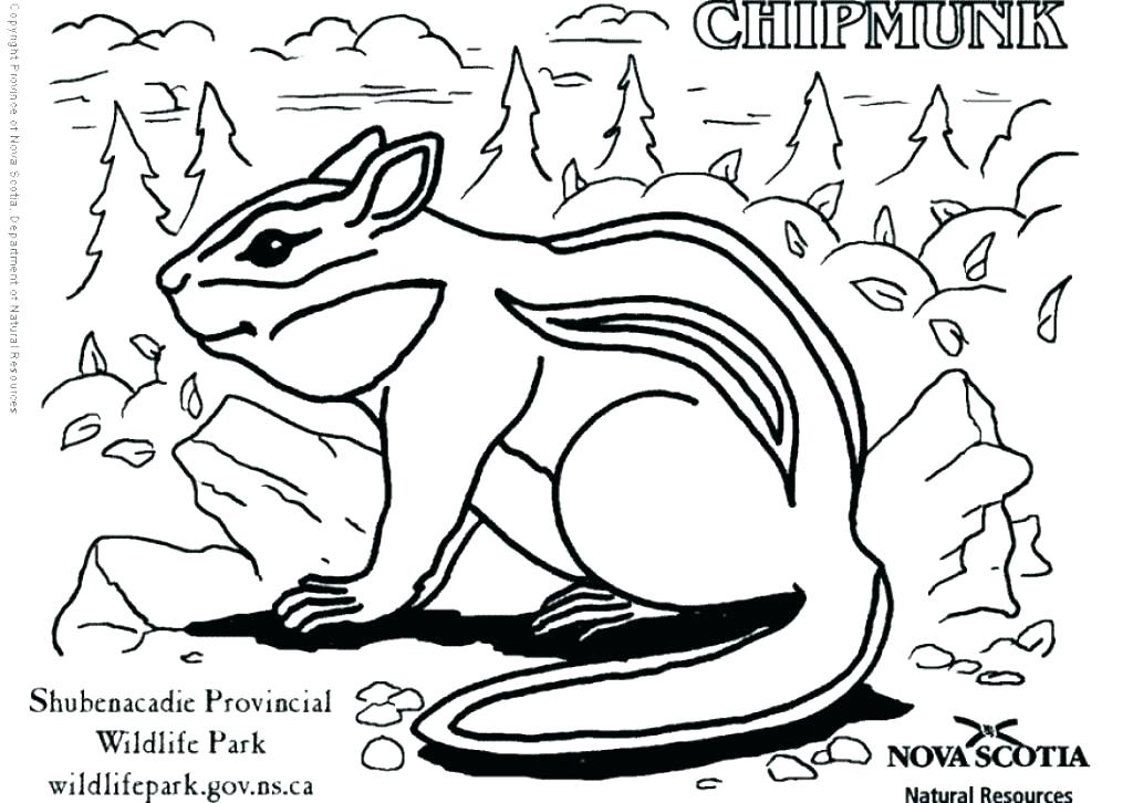 1024x726 Alvin And The Chipmunks Coloring Pages Also And The Chipmunks