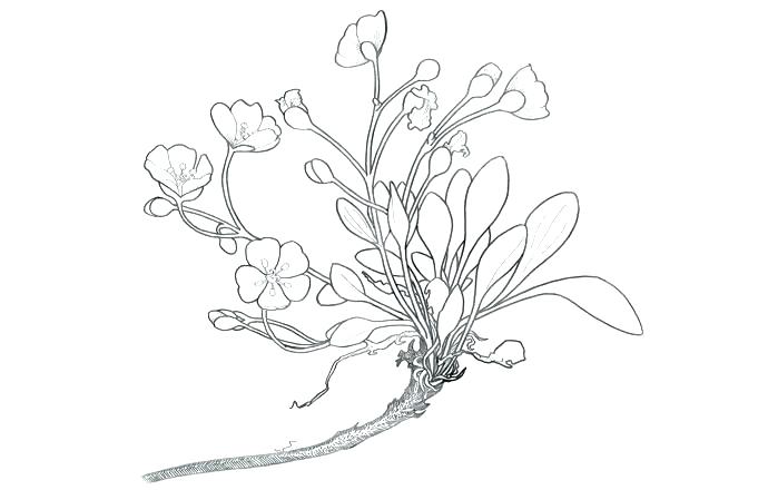 690x440 Natural Resources Coloring Pages