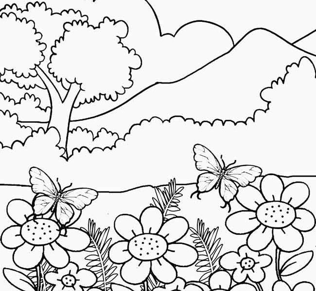 650x600 Nature Colouring Pages Nature Coloring Pages Titans Coloring