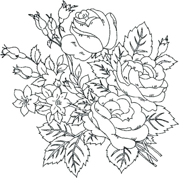 618x613 Orchid Coloring Pages Three Leaf Flower Coloring Page Coloring