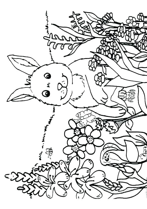 595x842 Nature Coloring Pages For Kids Deepart