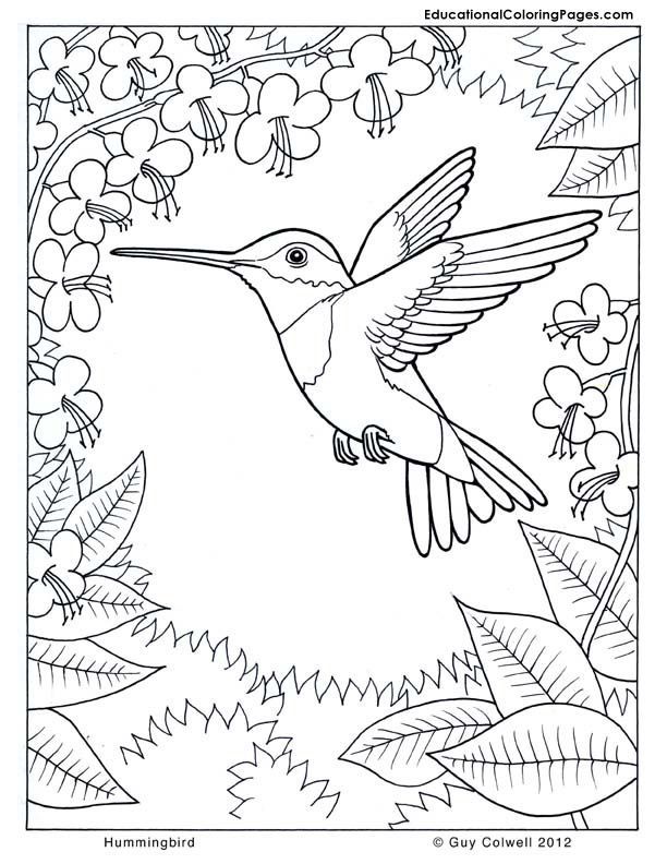 612x792 Nature Coloring Pages Printable