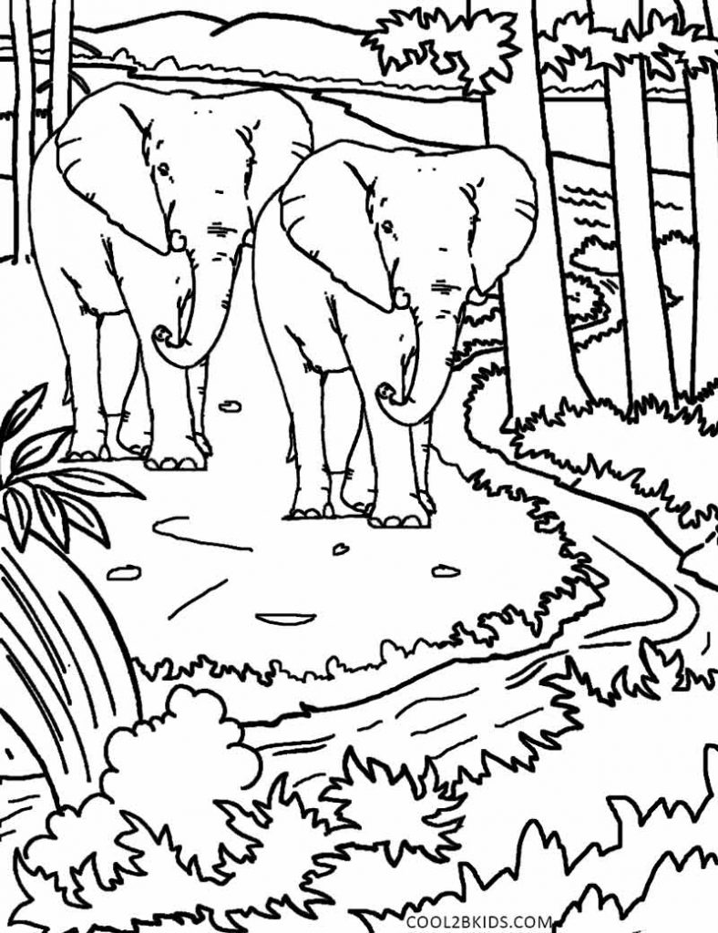 788x1024 Nature Frog Kids Coloring Pages Pdf For Adults Free Scenes