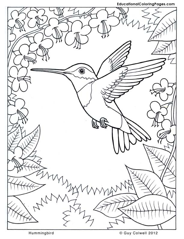 612x792 Trees Coloring Pages