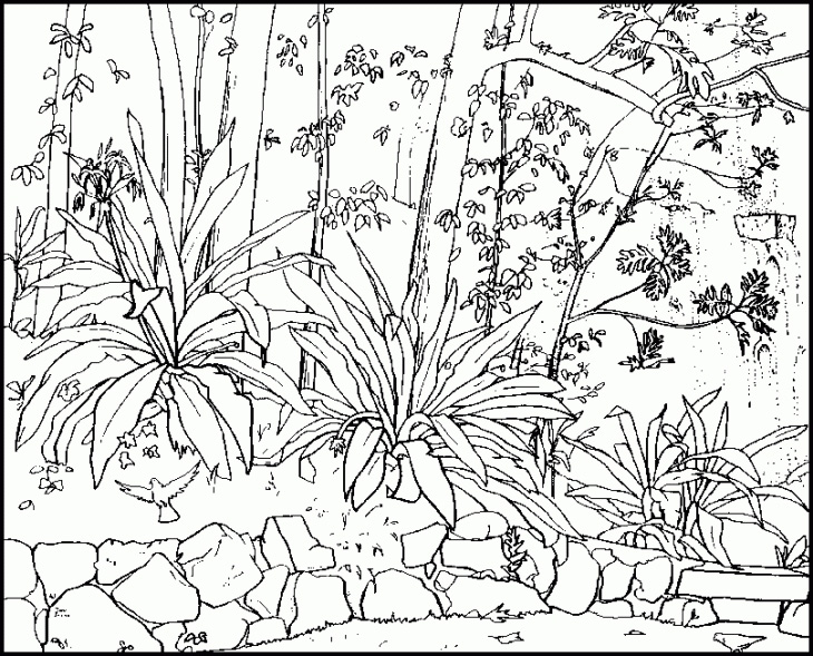 730x589 Free Printable Nature Coloring Pages Extraordinary Nature Coloring