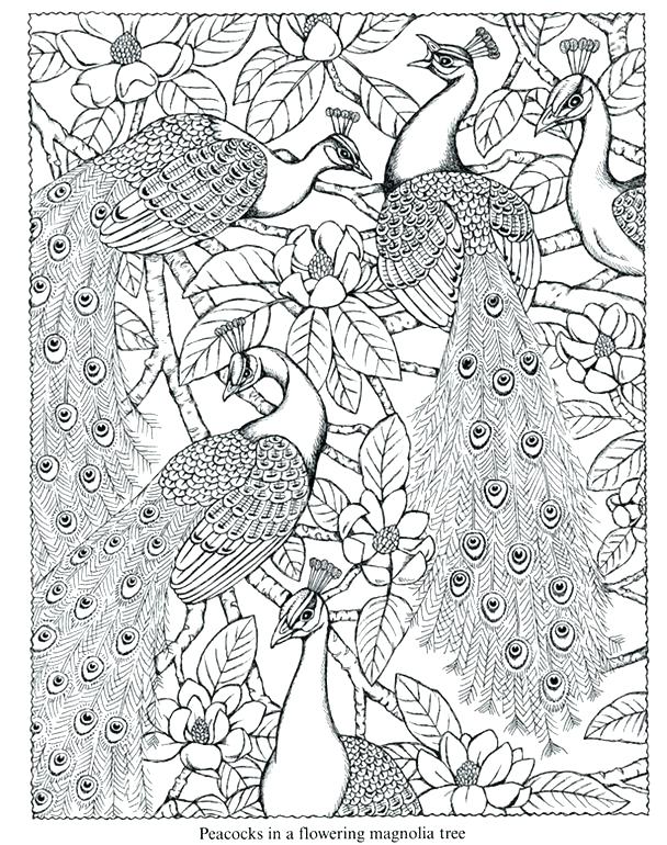 608x770 Mountain Coloring Page Nature Coloring Pages Mountain Landscape