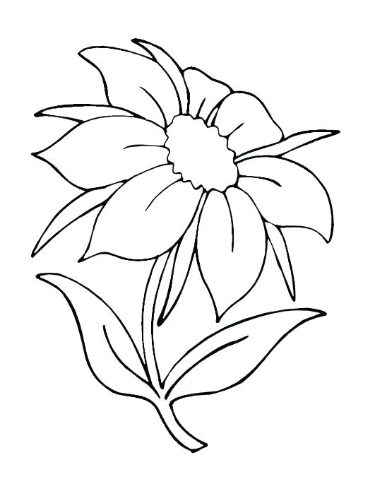 548x685 Nature Coloring Page Senses Coloring Page Outdoor Coloring Pages