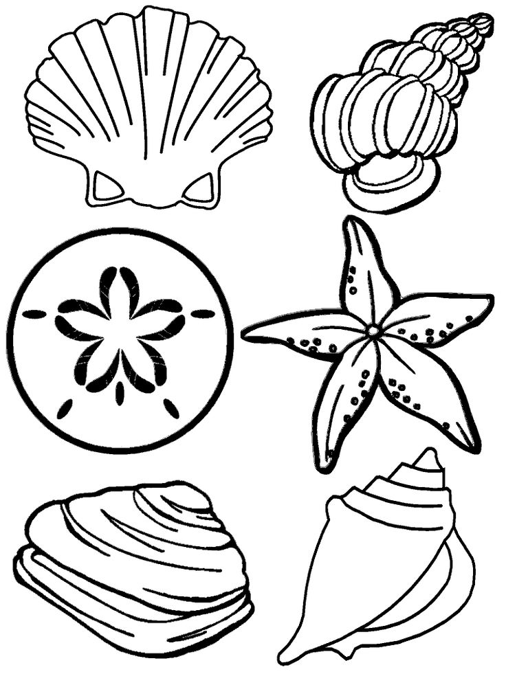 736x981 Nautical Coloring Pages To Download And Print For Free