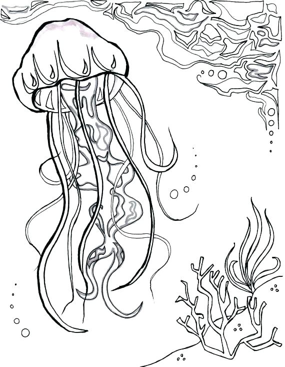 570x733 Nautical Coloring Pages Coloring Pages Under The Sea Deep Sea