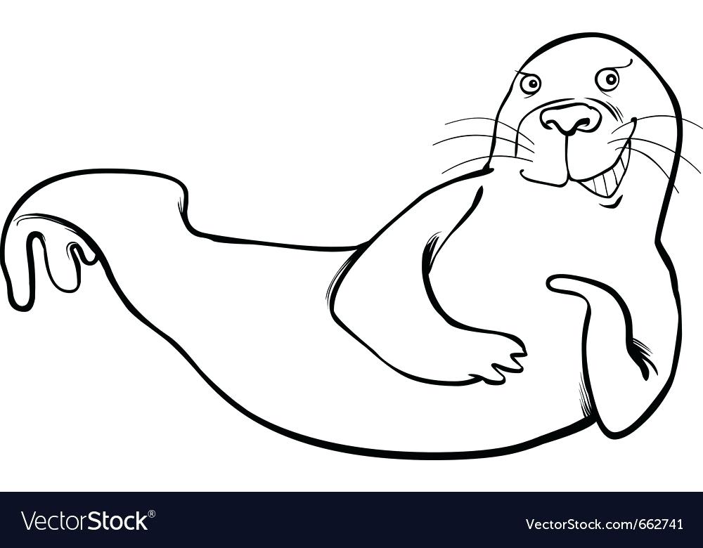 1000x780 Seal Coloring Page Funny Seal Coloring Page Vector Image Us Navy